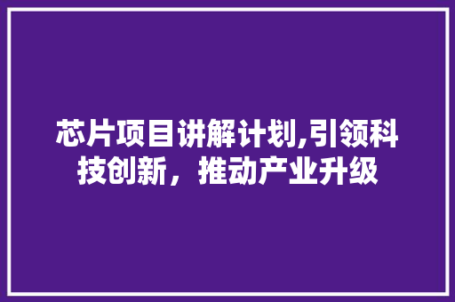 芯片项目讲解计划,引领科技创新，推动产业升级 近义词汇