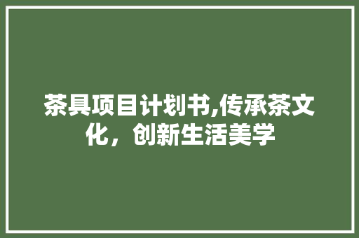 茶具项目计划书,传承茶文化，创新生活美学