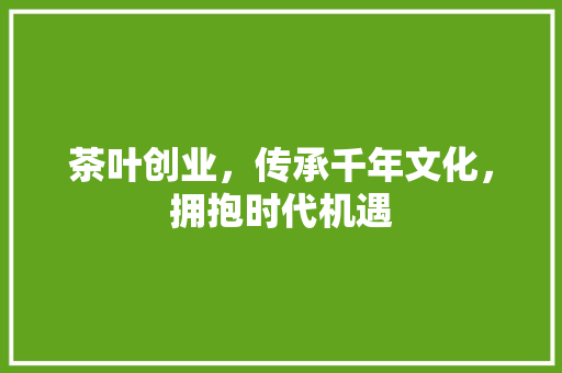 茶叶创业，传承千年文化，拥抱时代机遇 汉字拼音