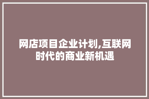 网店项目企业计划,互联网时代的商业新机遇
