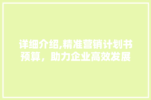 详细介绍,精准营销计划书预算，助力企业高效发展