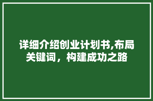 详细介绍创业计划书,布局关键词，构建成功之路 反义词汇