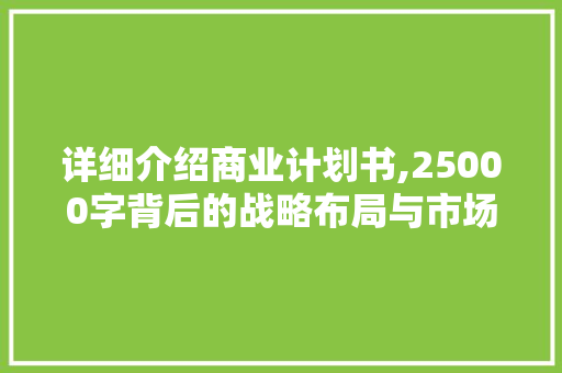 详细介绍商业计划书,25000字背后的战略布局与市场洞察 古代典籍