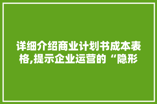 详细介绍商业计划书成本表格,提示企业运营的“隐形”真相 反义词汇
