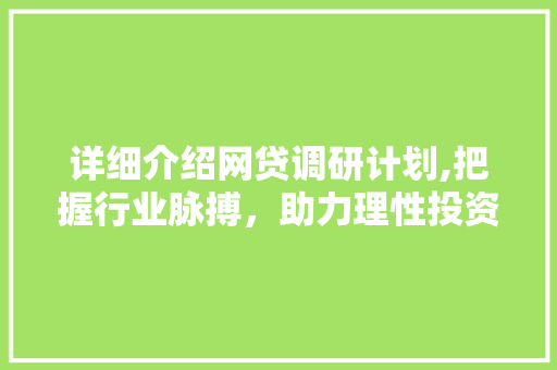 详细介绍网贷调研计划,把握行业脉搏，助力理性投资 英语单词