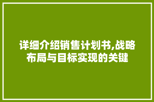 详细介绍销售计划书,战略布局与目标实现的关键