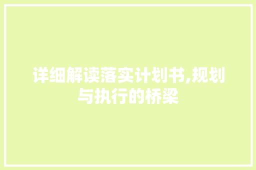 详细解读落实计划书,规划与执行的桥梁