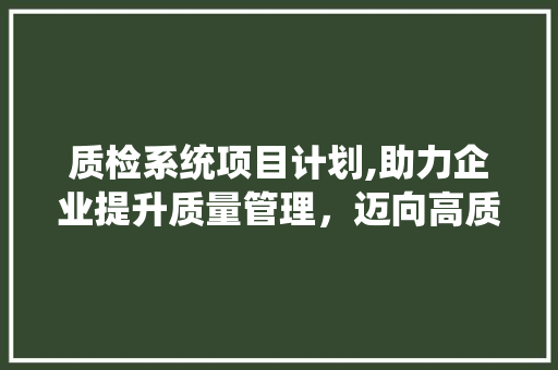 质检系统项目计划,助力企业提升质量管理，迈向高质量发展