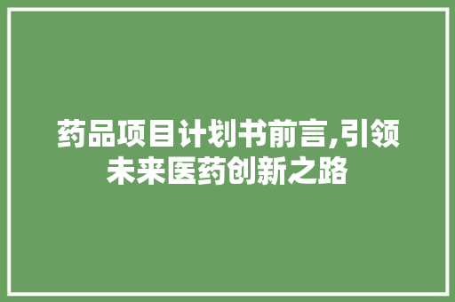 药品项目计划书前言,引领未来医药创新之路 短语