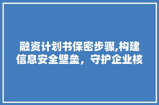 融资计划书保密步骤,构建信息安全壁垒，守护企业核心竞争力
