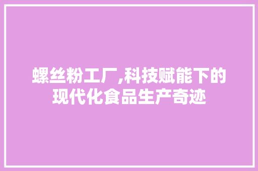 螺丝粉工厂,科技赋能下的现代化食品生产奇迹