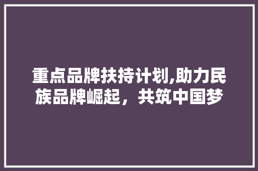 重点品牌扶持计划,助力民族品牌崛起，共筑中国梦