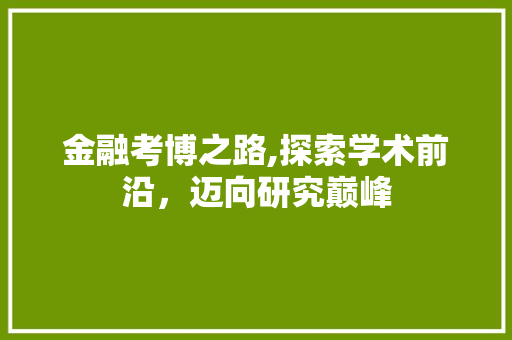 金融考博之路,探索学术前沿，迈向研究巅峰 成语汇编