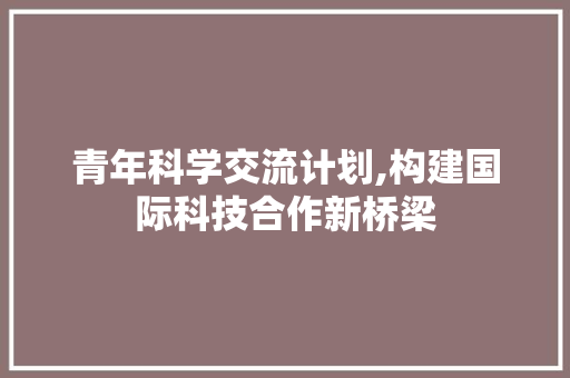 青年科学交流计划,构建国际科技合作新桥梁 成语汇编