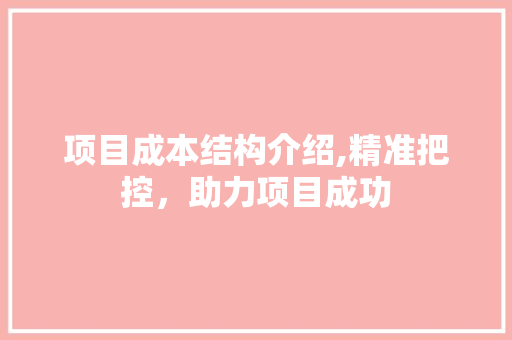 项目成本结构介绍,精准把控，助力项目成功 反义词汇