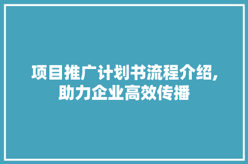 项目推广计划书流程介绍,助力企业高效传播
