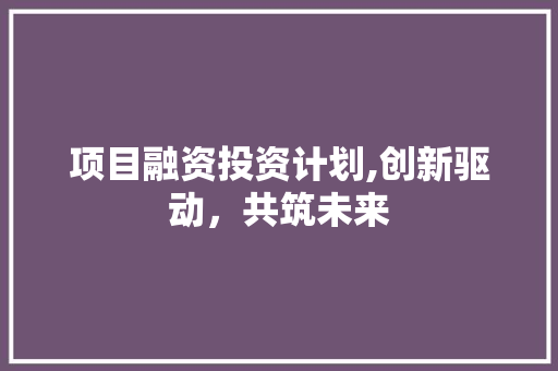 项目融资投资计划,创新驱动，共筑未来
