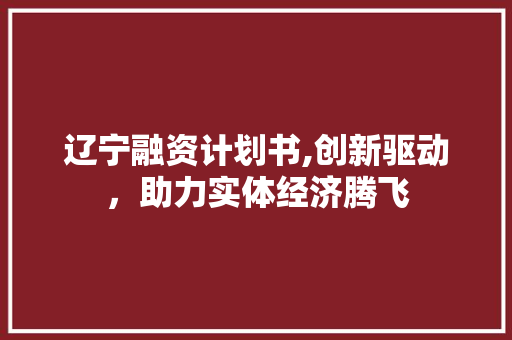 辽宁融资计划书,创新驱动，助力实体经济腾飞