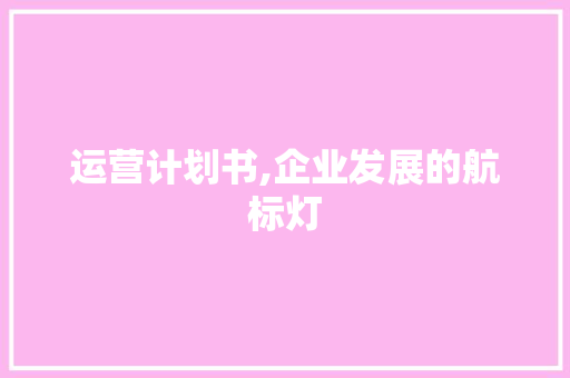 运营计划书,企业发展的航标灯