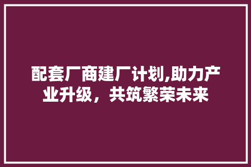 配套厂商建厂计划,助力产业升级，共筑繁荣未来