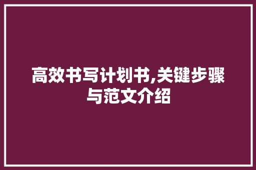 高效书写计划书,关键步骤与范文介绍