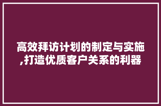 高效拜访计划的制定与实施,打造优质客户关系的利器