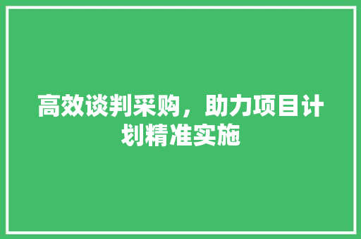 高效谈判采购，助力项目计划精准实施