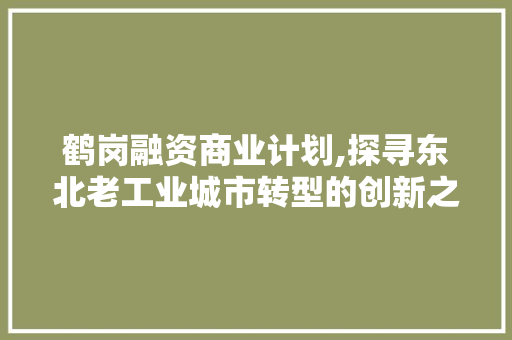 鹤岗融资商业计划,探寻东北老工业城市转型的创新之路 短语