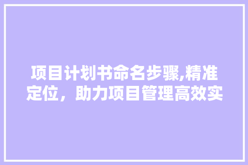 项目计划书命名步骤,精准定位，助力项目管理高效实施
