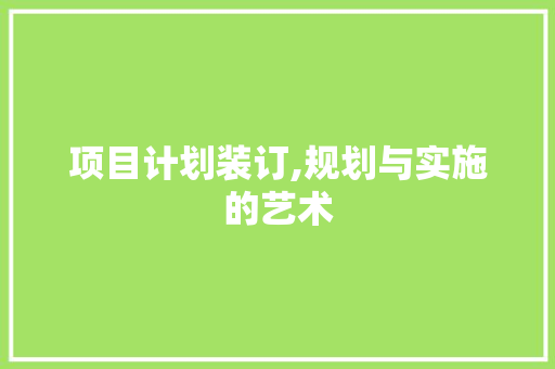 项目计划装订,规划与实施的艺术