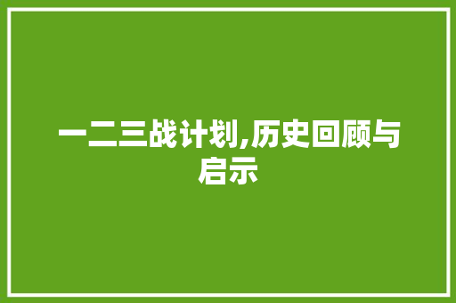 一二三战计划,历史回顾与启示