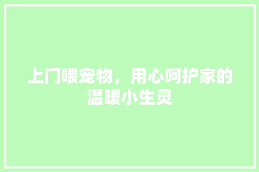 上门喂宠物，用心呵护家的温暖小生灵