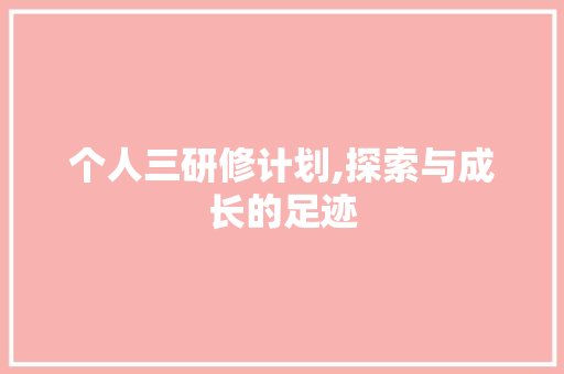 个人三研修计划,探索与成长的足迹