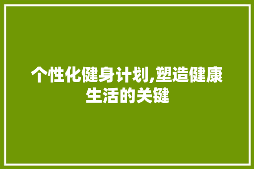 个性化健身计划,塑造健康生活的关键