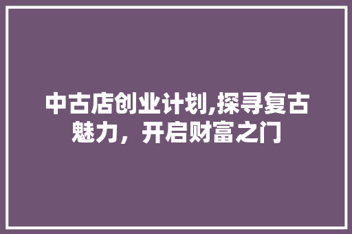 中古店创业计划,探寻复古魅力，开启财富之门