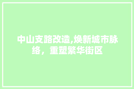 中山支路改造,焕新城市脉络，重塑繁华街区