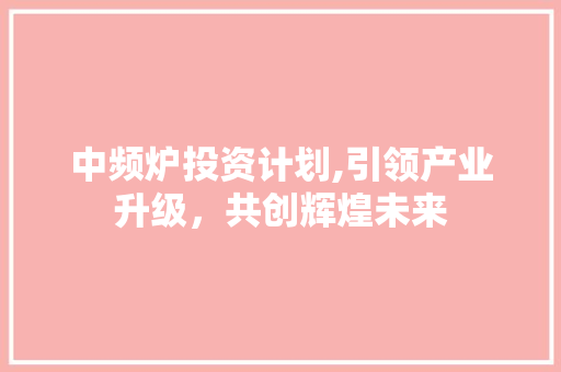 中频炉投资计划,引领产业升级，共创辉煌未来
