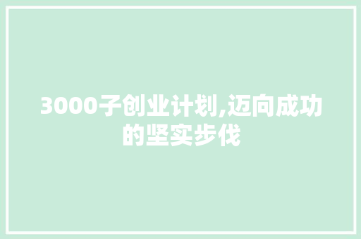 3000子创业计划,迈向成功的坚实步伐
