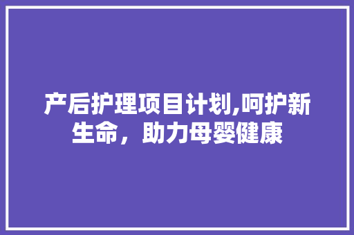 产后护理项目计划,呵护新生命，助力母婴健康