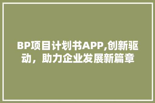 BP项目计划书APP,创新驱动，助力企业发展新篇章 古代典籍