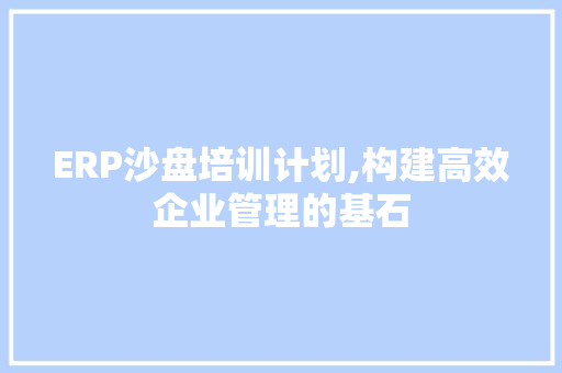 ERP沙盘培训计划,构建高效企业管理的基石