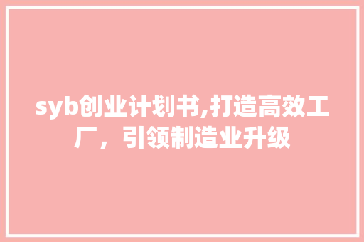 syb创业计划书,打造高效工厂，引领制造业升级