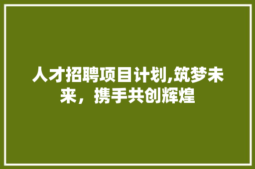 人才招聘项目计划,筑梦未来，携手共创辉煌