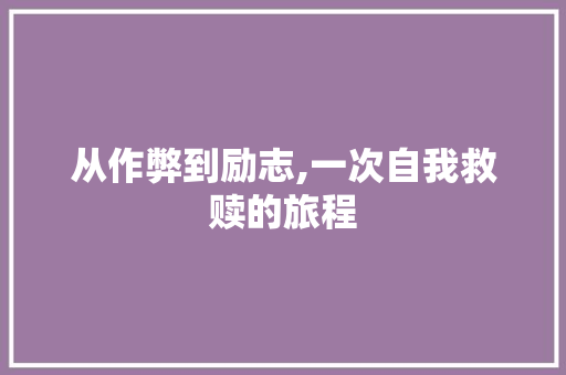 从作弊到励志,一次自我救赎的旅程