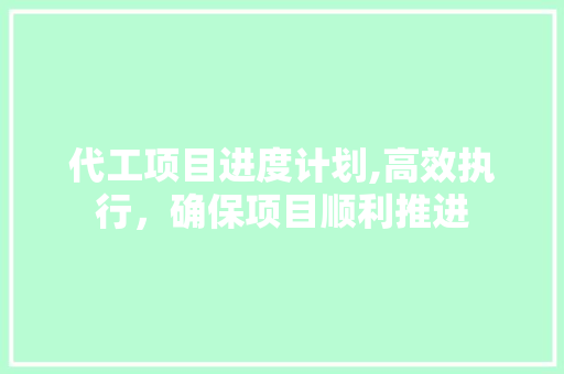 代工项目进度计划,高效执行，确保项目顺利推进