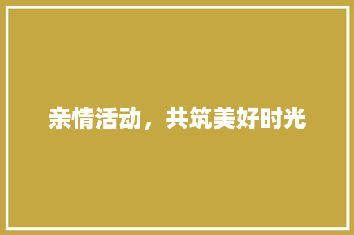 亲情活动，共筑美好时光