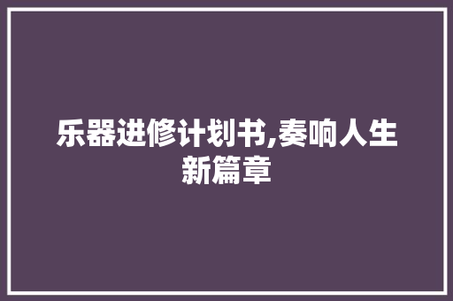 乐器进修计划书,奏响人生新篇章