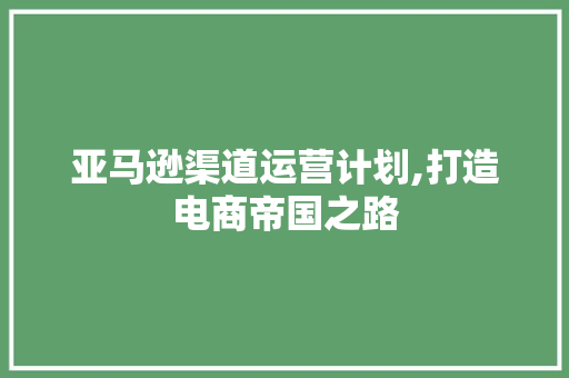 亚马逊渠道运营计划,打造电商帝国之路