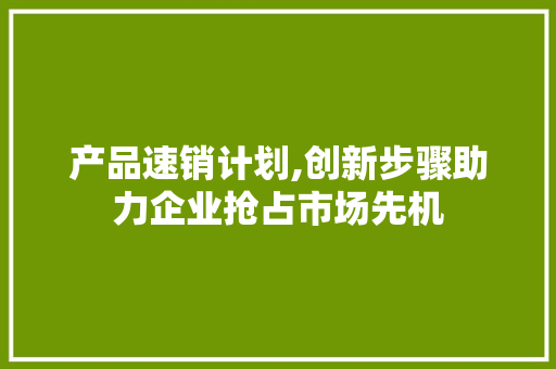 产品速销计划,创新步骤助力企业抢占市场先机