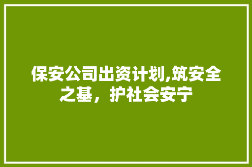 保安公司出资计划,筑安全之基，护社会安宁